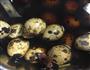 茶叶鹌鹑蛋的做法图解4