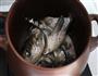 砂锅鱼头的做法图解5