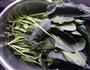芝麻酱拌菠菜的做法图解1
