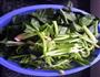 芝麻酱拌菠菜的做法图解2