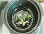 肉末茄子煲的做法图解3