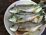 豆酱蒸细鳞鯻的做法图解4