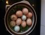 荠菜煮鸡蛋的做法图解3