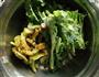 苦菊凉拌苦瓜的做法图解3
