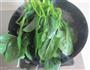 菠菜炒肉丝的做法图解3