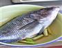 香烤罗非鱼的做法图解1