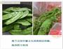 广式香肠炒荷兰豆的做法图解2