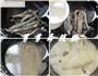 滋补去火的泥鳅炖豆腐的做法图解3