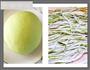 菠菜汁面条的做法图解3