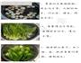 蚝油草菇扒菜胆的做法步骤1