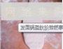 先煎后烤是酥脆的关键所在-发面锅盔的做法图解2