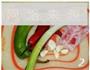 蕨菜炒肉丝的做法图解2