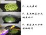 酱闷四季豆的做法图解5