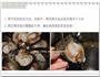 父亲节美食-蒜蓉烧带子的做法图解2