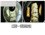 包菜馅锅贴的做法图解4