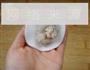 水晶虾饺的做法图解7