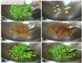 青椒四季豆芽菜炒肉末的做法图解1