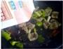 滑嫩黑木耳爆腰花的做法图解10