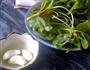 蒜蓉苋菜的做法步骤1