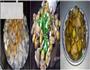 栗子排鸡翼的做法图解2