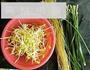 韭菜豆芽炒粉丝的做法图解1