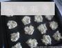 全麦黑芝麻饼干的做法图解10