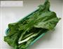 土豆熬小白菜的做法图解2
