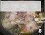 酸菜鱼的做法图解8
