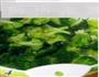 豉油白灼西兰花的做法图解4