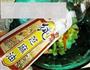 韩式拌白菜的做法图解8
