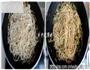 四季豆焖面的做法图解7