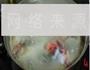 筒子骨萝卜汤的做法图解3