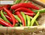 虎皮腌辣椒的做法图解1