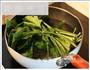木鱼花菠菜的做法图解1