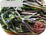 水蕨菜炒肉丝的做法图解1
