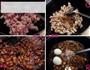 懒人卤肉饭的做法图解2
