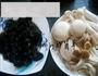 四喜菌菇煲的做法图解1