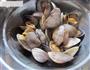 萝卜粉丝蛤蜊汤的做法图解4