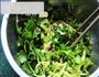 凉拌香菜的做法步骤3