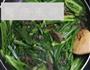豆豉鲮鱼油麦菜的做法图解10