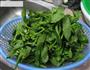 清炒爽口芥兰的做法步骤1