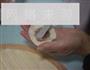 羊肉胡萝卜水饺的做法图解12