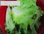 蚝油生菜的做法图解1