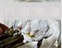 一品香辣蟹的做法图解5