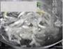 香菇枸杞鸡脚汤的做法图解3