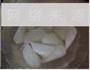 山药黄豆猪蹄汤的做法图解9