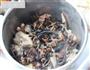 小鸡炖蘑菇的做法步骤7