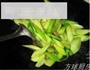 小炒芥蓝片的做法图解6