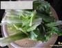 雪菜炒莴苣叶的做法步骤1