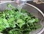 鸡汤枸杞叶-鲜上加鲜的野菜吃法的做法图解3